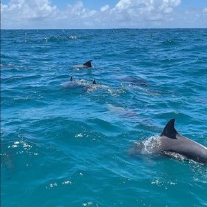 Meet your Posher, Kassy